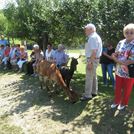 2022-07-14 Seniorenausflug Dalking Alpakahof