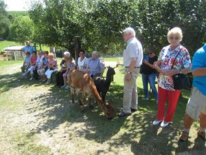 2022-07-14 Seniorenausflug Dalking Alpakahof